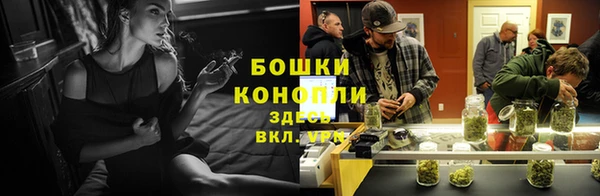 apvp Аркадак