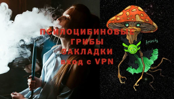 гидропоника Арсеньев