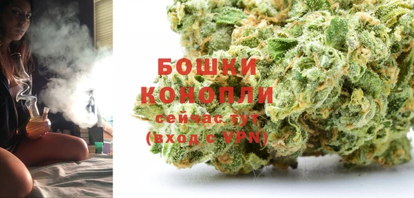 apvp Аркадак