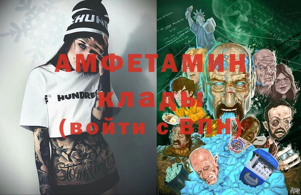apvp Гатчина