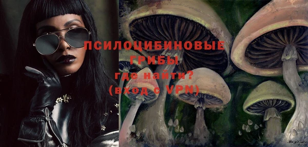 ешки Алексин